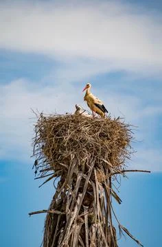 Nature, something dear to protect Stock Photos
