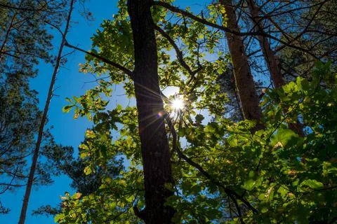 Nature, something dear to protect Stock Photos