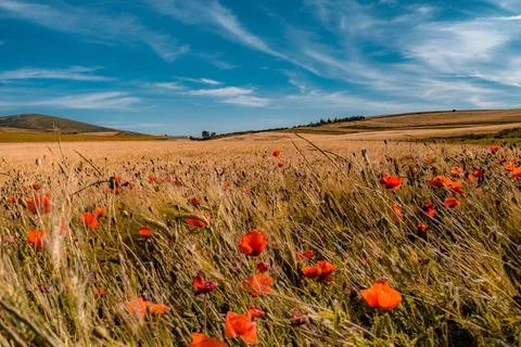 Nature, something dear to protect Stock Photos