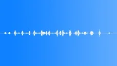 Nature SoundsSound Effect