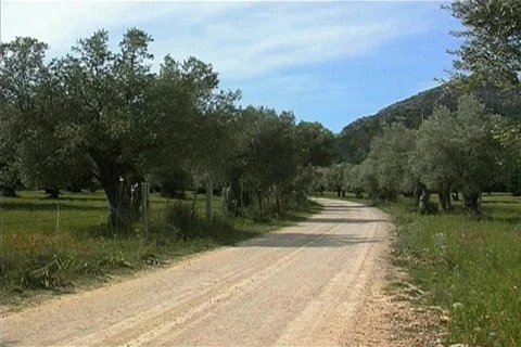 Nature in Spain Stock Footage 399242