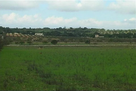 Nature in Spain Stock Footage 399321