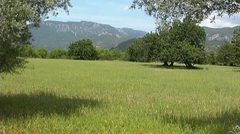 Nature in Spain Stock Footage 956560