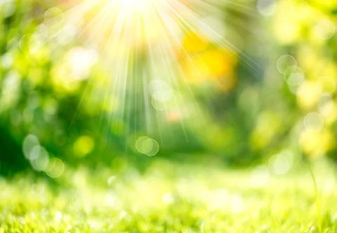 Nature Spring Blurred Background with Sunbeams 库存照片