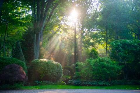 Nature in the Spring Stock Photos