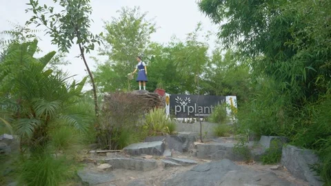 Nature Statue in Garden Path with Greenery, Piplantri Village, Rajasthan Stock Footage 313238908