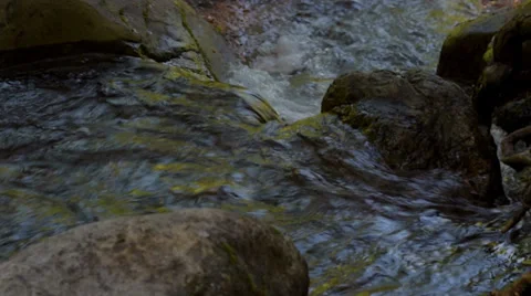 Nature stream (camera slider) Stock Footage 37748172