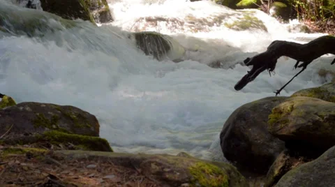 Nature stream (camera slider) Stock Footage 37750710