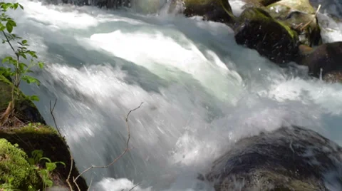 Nature stream (camera slider) Stock Footage 37762930