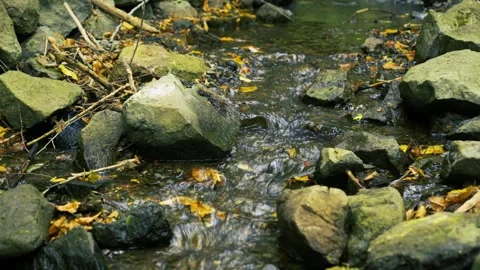Nature stream flowing over rocks Stock Footage 337239464