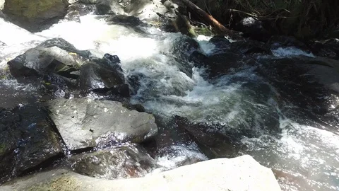 Nature Stream Stock Footage 97421636