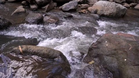 Nature stream Stockbeeldmateriaal 124825498