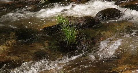 Nature stream rapids with sparkling highlights in slow motion 2k 200fps Vídeos de archivo 335713913