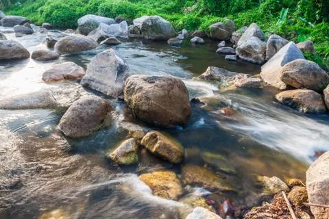 Nature stream with rock Foto stock