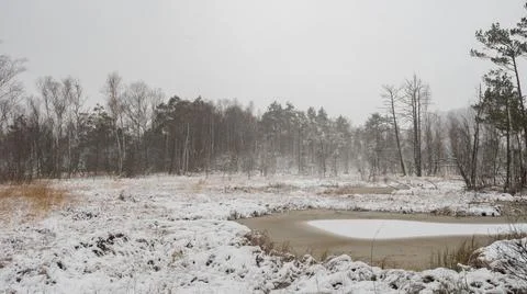 Nature studies path leading through carbon dioxide storing moor and peatland  스톡 사진