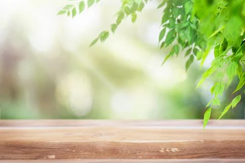 Nature summer background Stock Photos