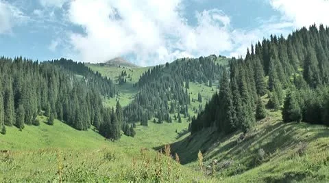 Nature summer mountain Stock Footage 10734010