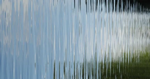Nature Summer Water Reflection vertical Stock Footage 205825960