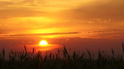 Nature at sunset Stock Footage 21946534