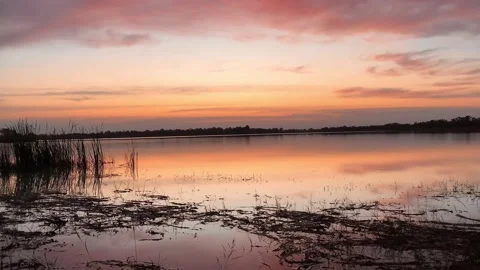 Nature at sunset 動画素材 228404945
