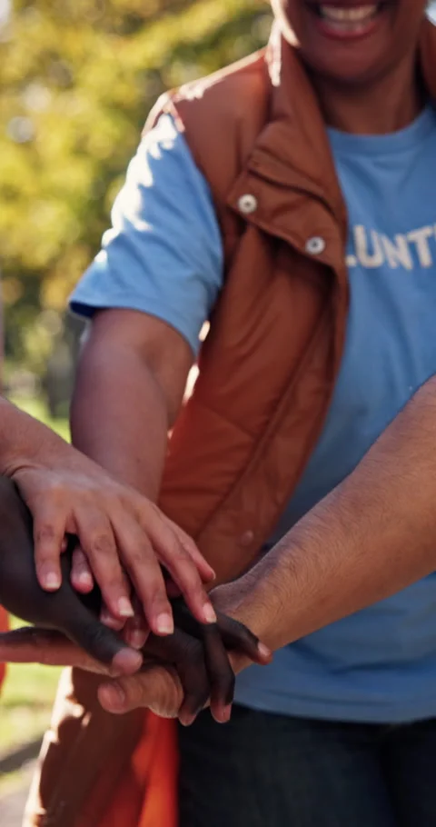 Nature, team and volunteers with stack of hands for solidarity, support or Stock Footage 340867758