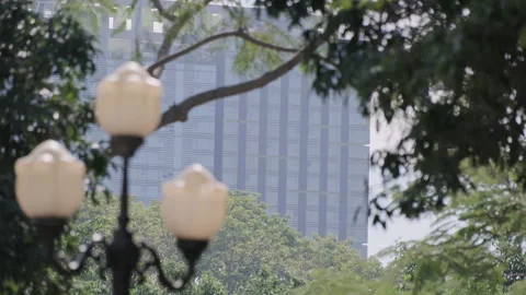 Nature &amp; Tech Contrast: Modern Skyscraper Seen Through Forest Leaves to Blue Sky Stock-Footage 321610965