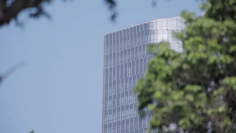 Nature &amp; Tech Contrast: Modern Skyscraper Seen Through Forest Leaves to Blue Sky Stock-Footage 321611404