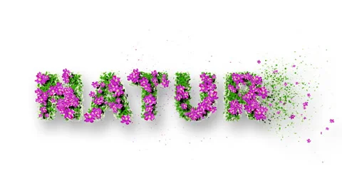 NATURE Text 3D Motion Graphics Stock Footage 29564507