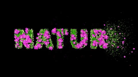 NATURE Text 3D Motion Graphics with Alpha Stock Footage 29646670