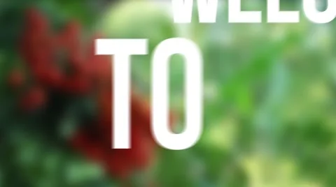 Nature text animation Video stock 54949016