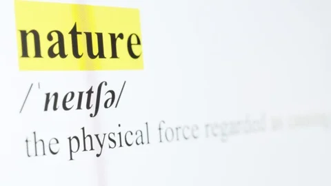 Nature Text Macro Shot Highlighted in Yellow Color On Computer Screen Stock Footage 123224369