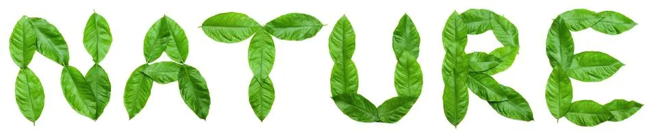 Nature text Stock Photos