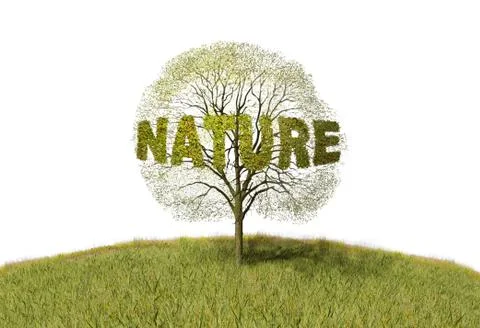 Nature text on a tree Stock Illustration