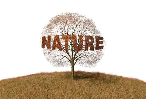 Nature text on a tree Stock Illustration