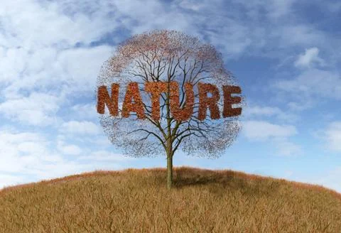 Nature text on a tree Stock Illustration