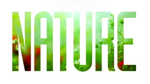Nature text write V2 Stock Footage 6523689