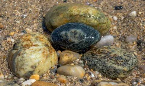 Nature as a texture - a composition of sea-colored stones on the beach. Stock Photos