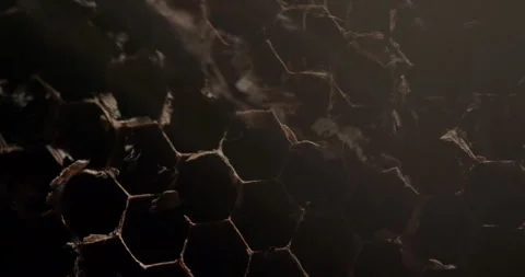 Nature Textures Stock Footage 284817311