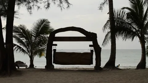 Nature in Thailand Stock Footage 8640784