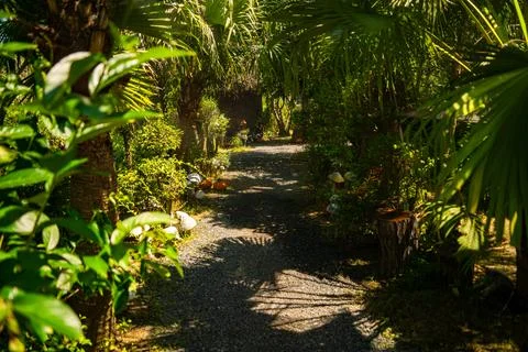 Nature theme park. 스톡 사진