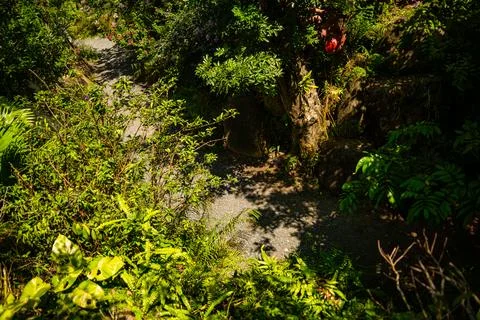 Nature theme park. Photos