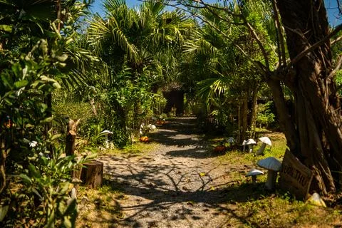 Nature theme park. Photos