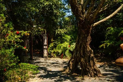 Nature theme park. 스톡 사진