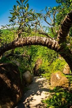 Nature theme park. Foto stock
