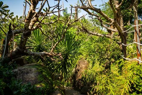Nature theme park. Фото