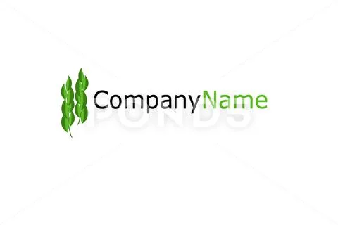  Nature Themed Business Logo Modello PSD