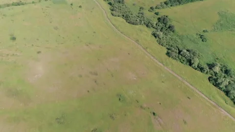 Nature, tilt up Stock Footage 296173401