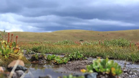 Nature Time Lapse Stock Footage 34539111