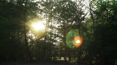 Nature Time Lapse Stock Footage 39574862