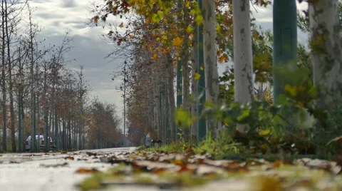 Nature time lapse Stock Footage 58797638